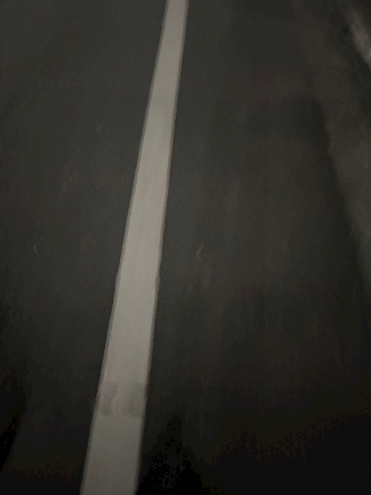 佐野 あみ