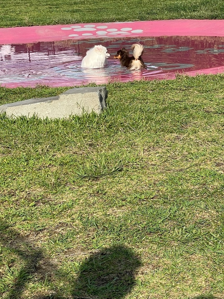 みらい