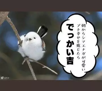 ひな