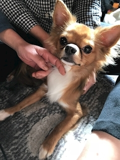 ユカ