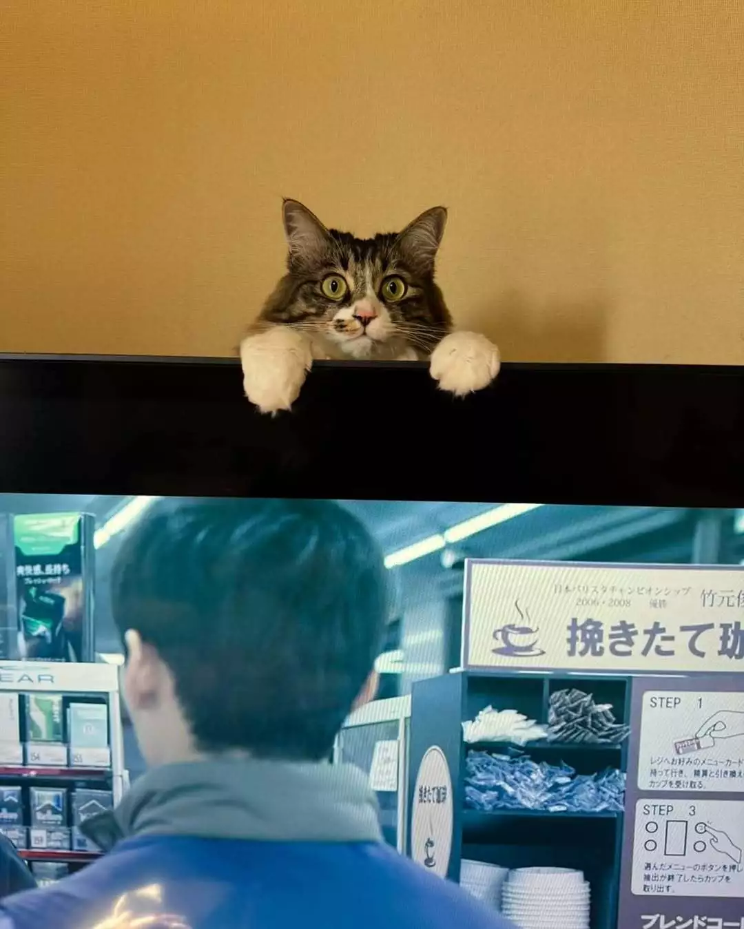 黒咲 ゆうき