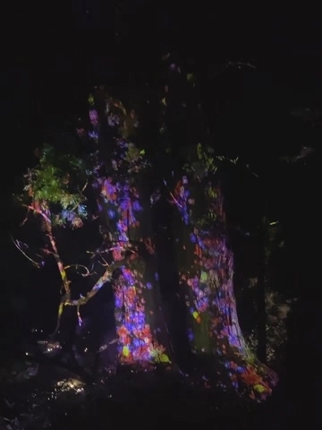 愛瀬  椿