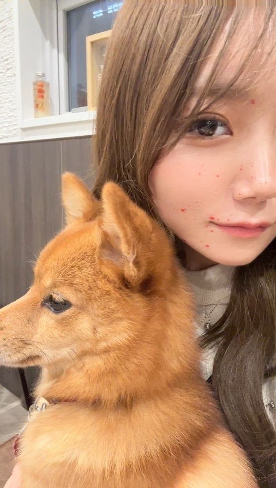 ふうか