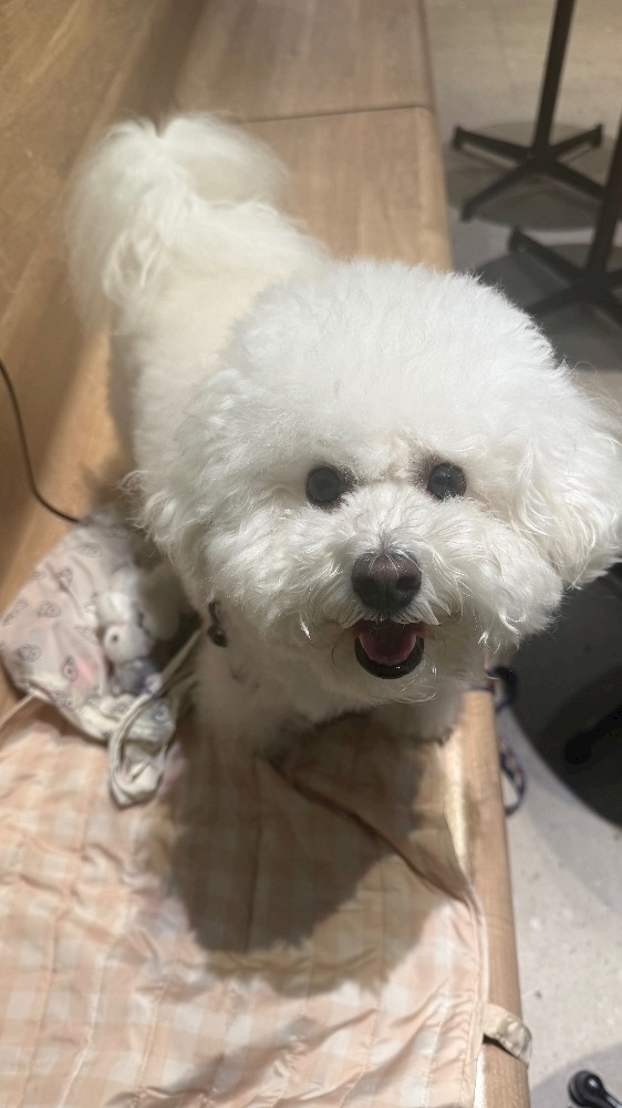 ミナミ