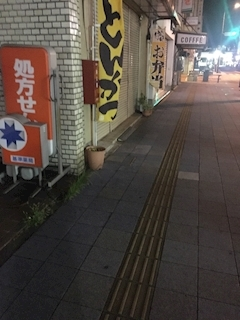 沙良 純
