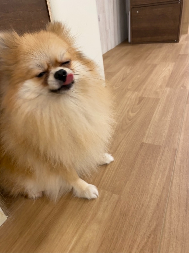 あんな