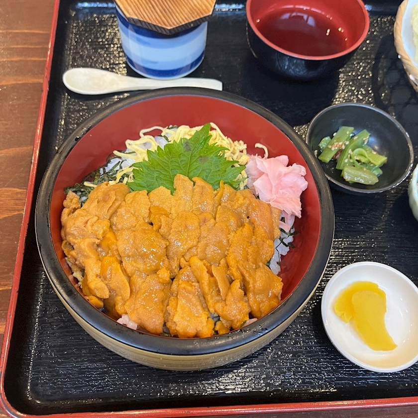 白木 なな
