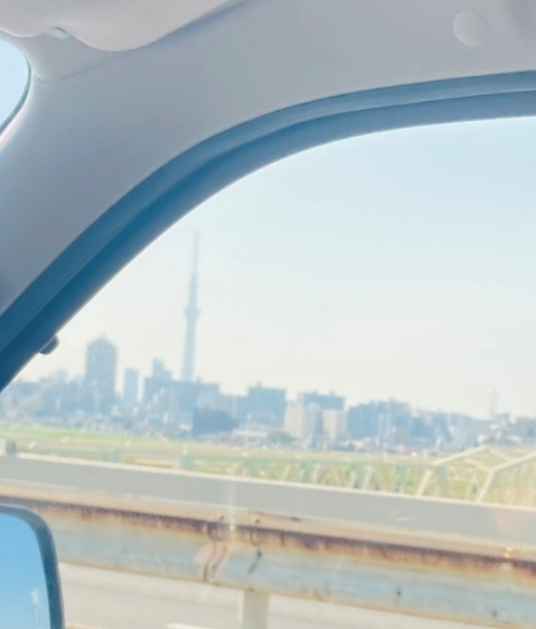 甘眠冠  しの