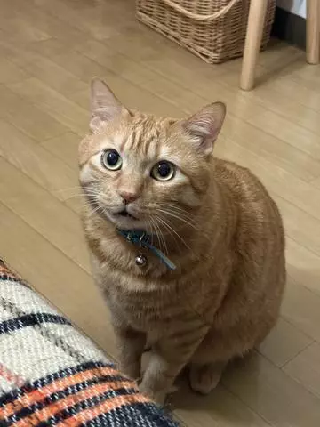 神永 莉聖