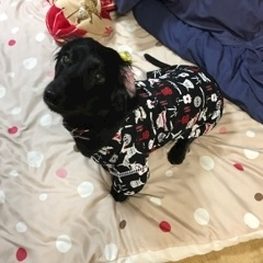 りえ