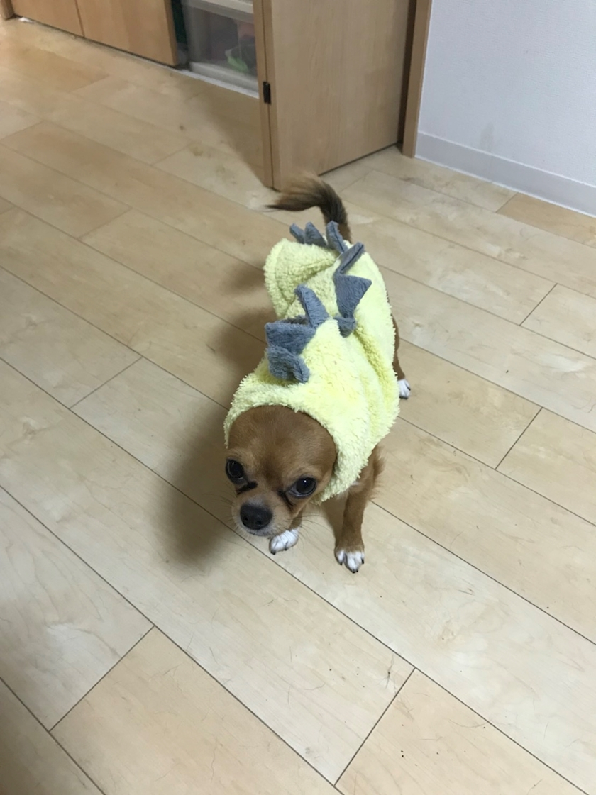 ユカ