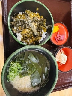 灯 ひなた
