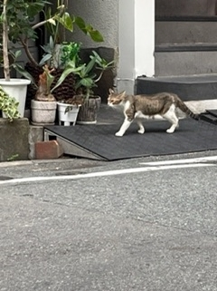 一ノ瀬 もも