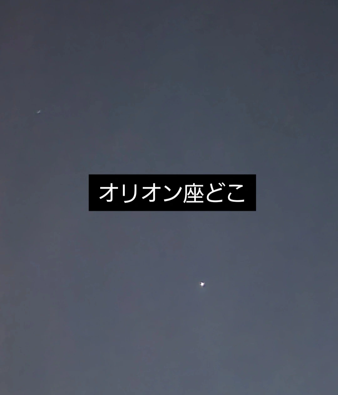 紫音