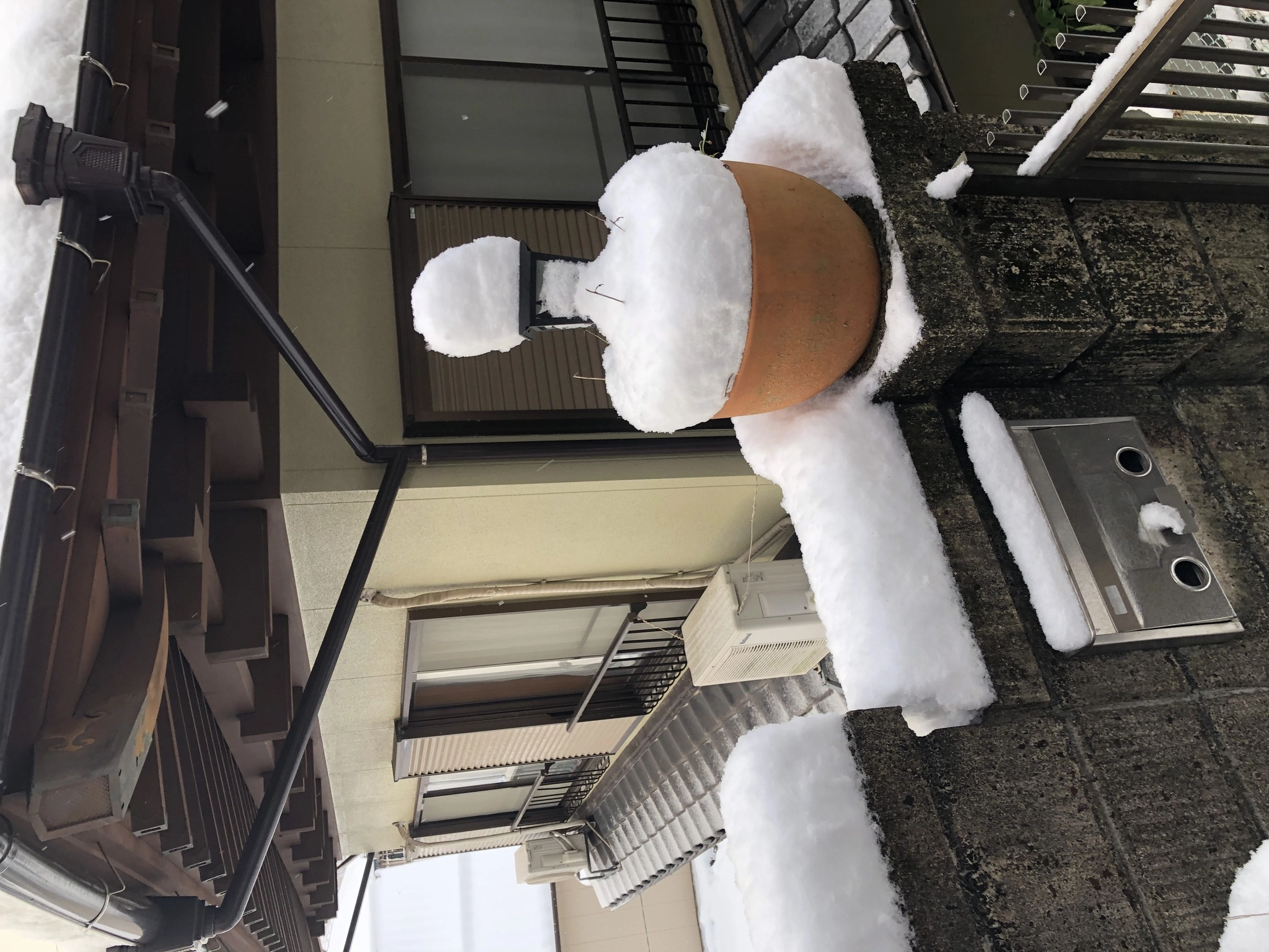 藤本 祐子ママ