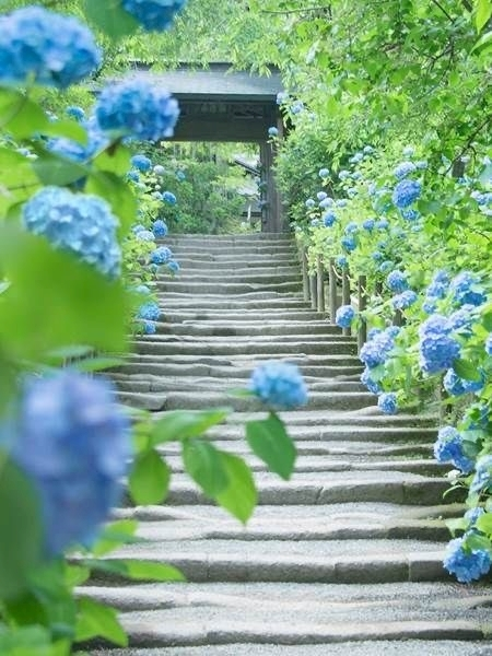 蒼井 なな