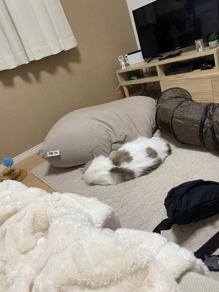 辻 みなみ