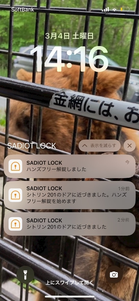 くま