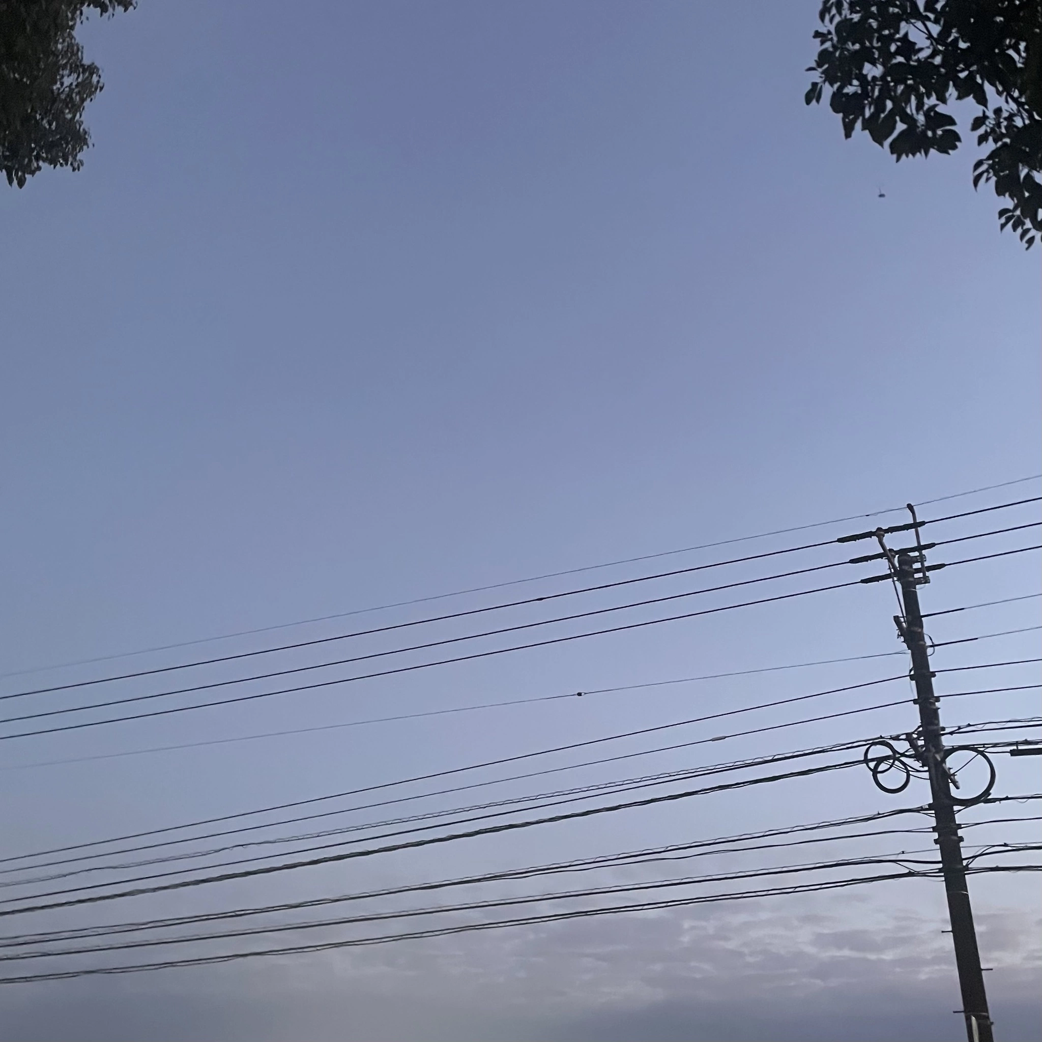 ちゃお