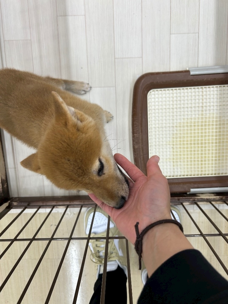 りおな