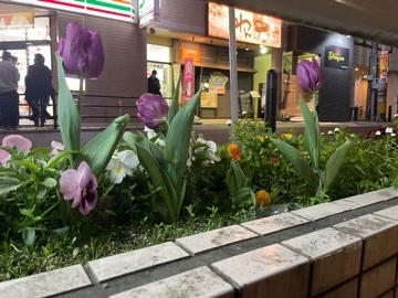 なな