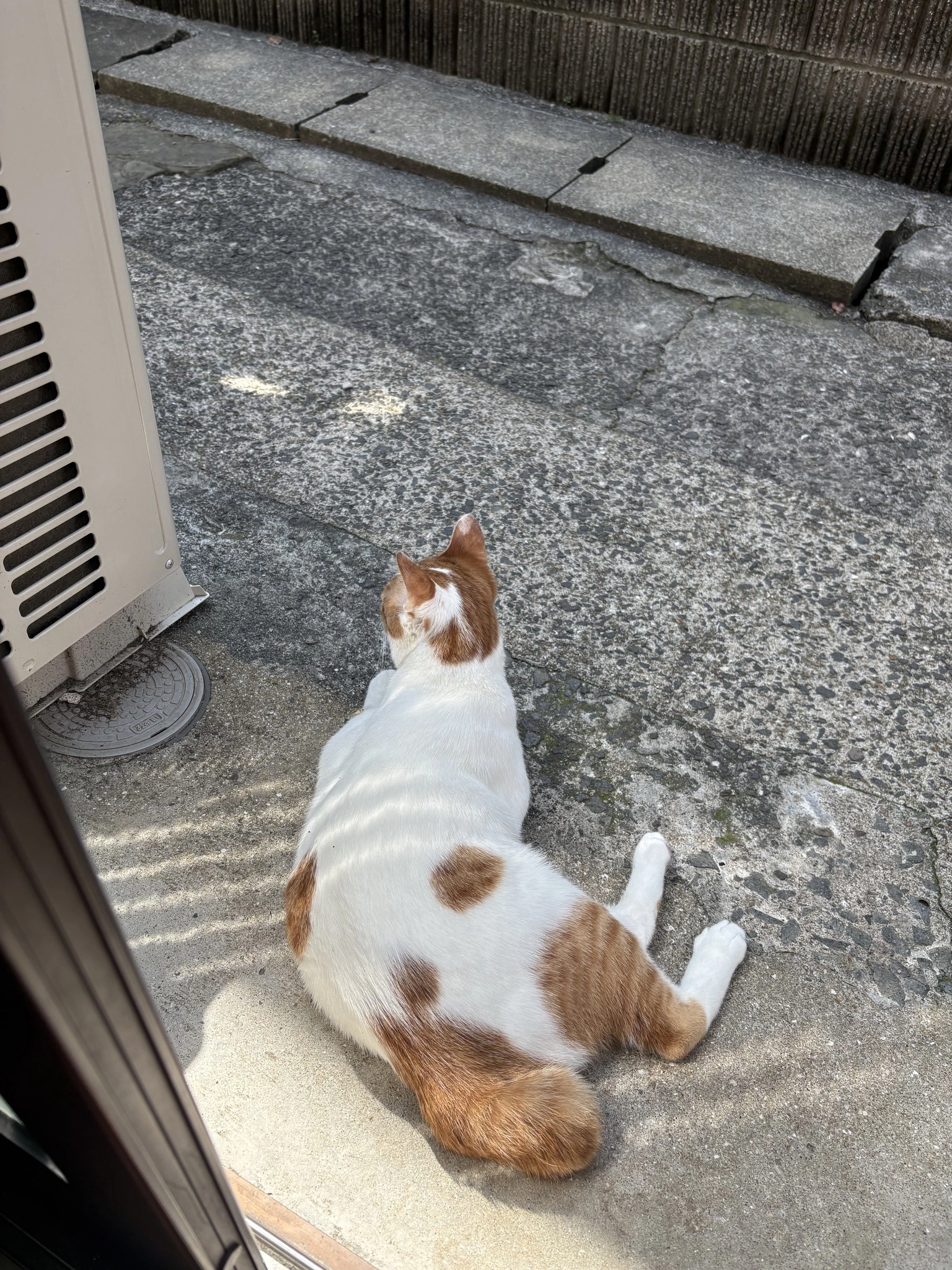 ゆう