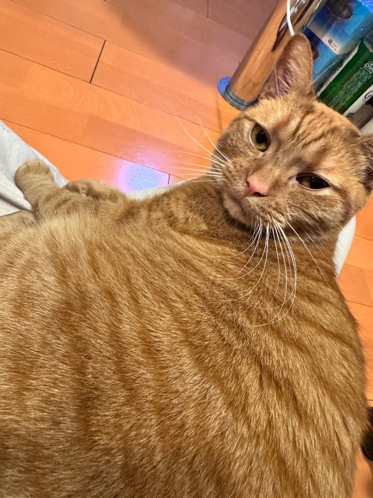 らい