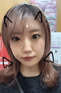 しおり