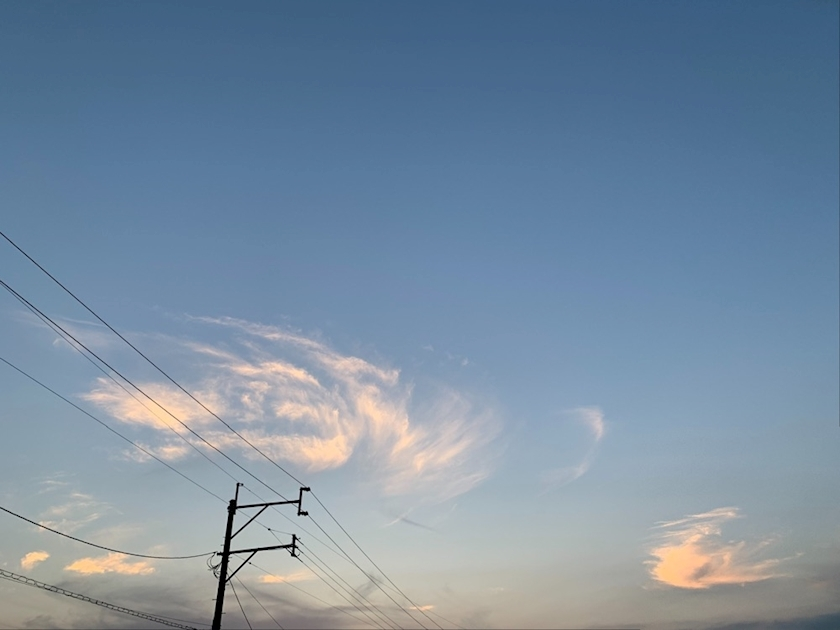 純