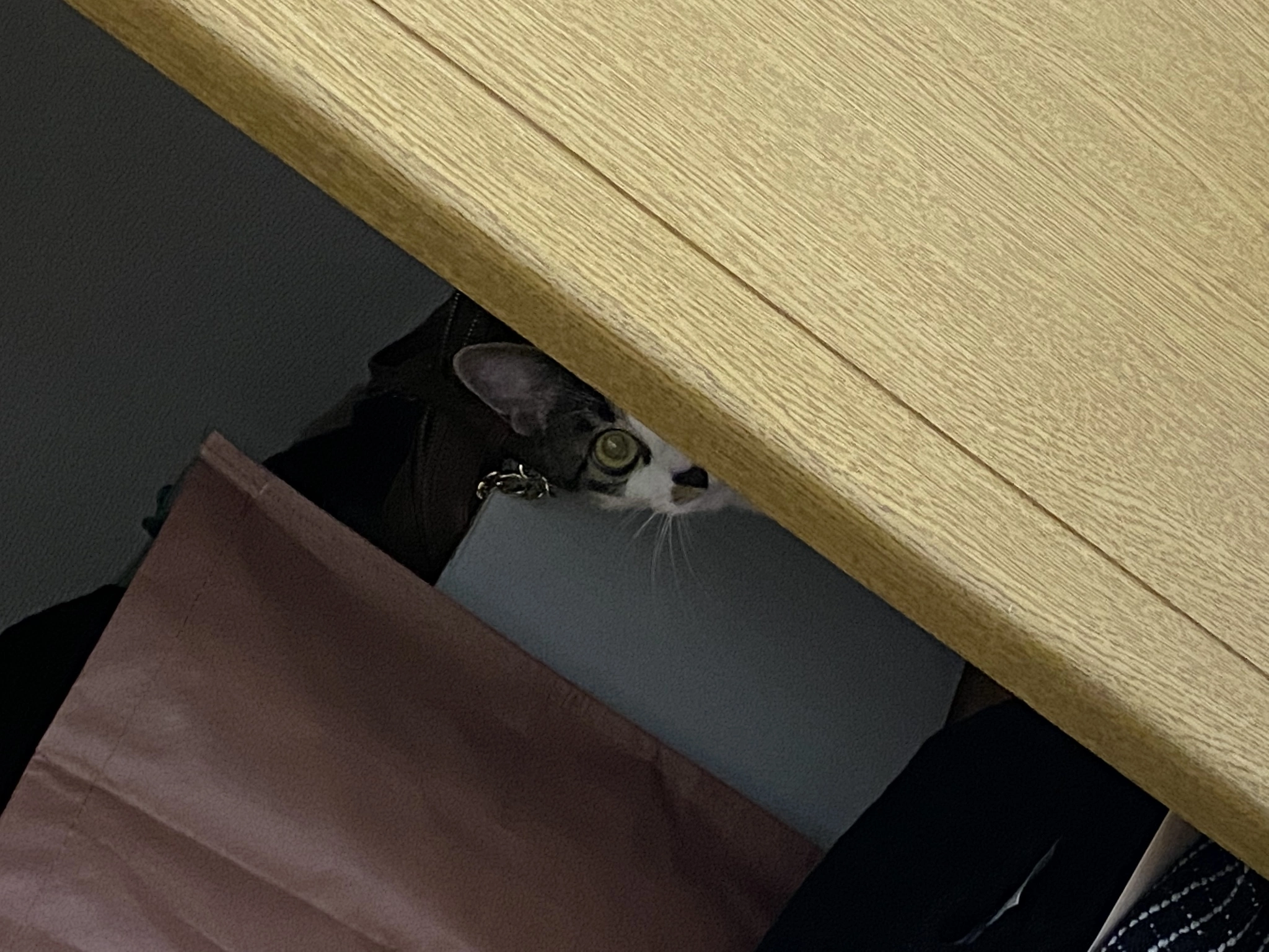 あきら