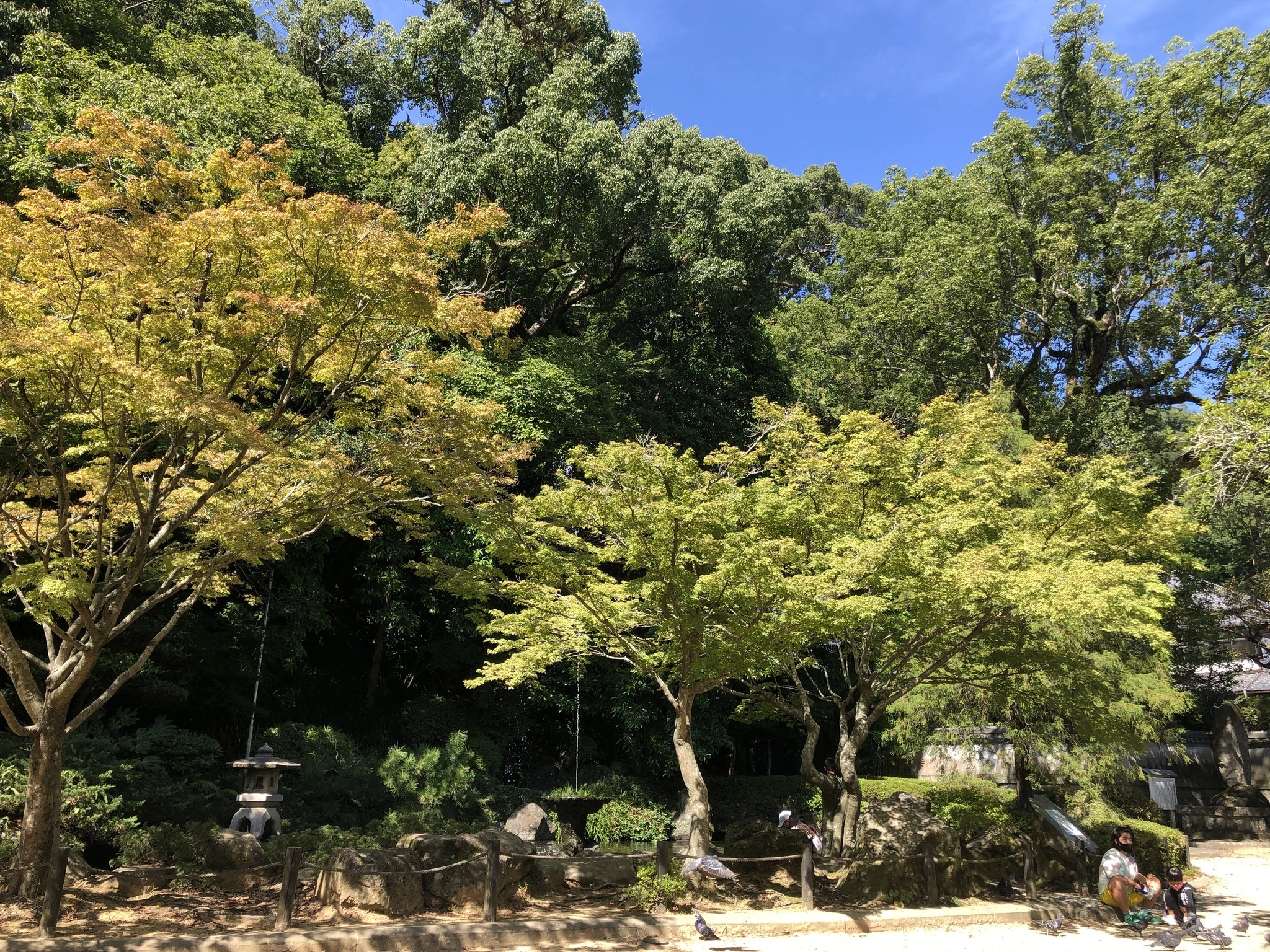 藤本 祐子ママ