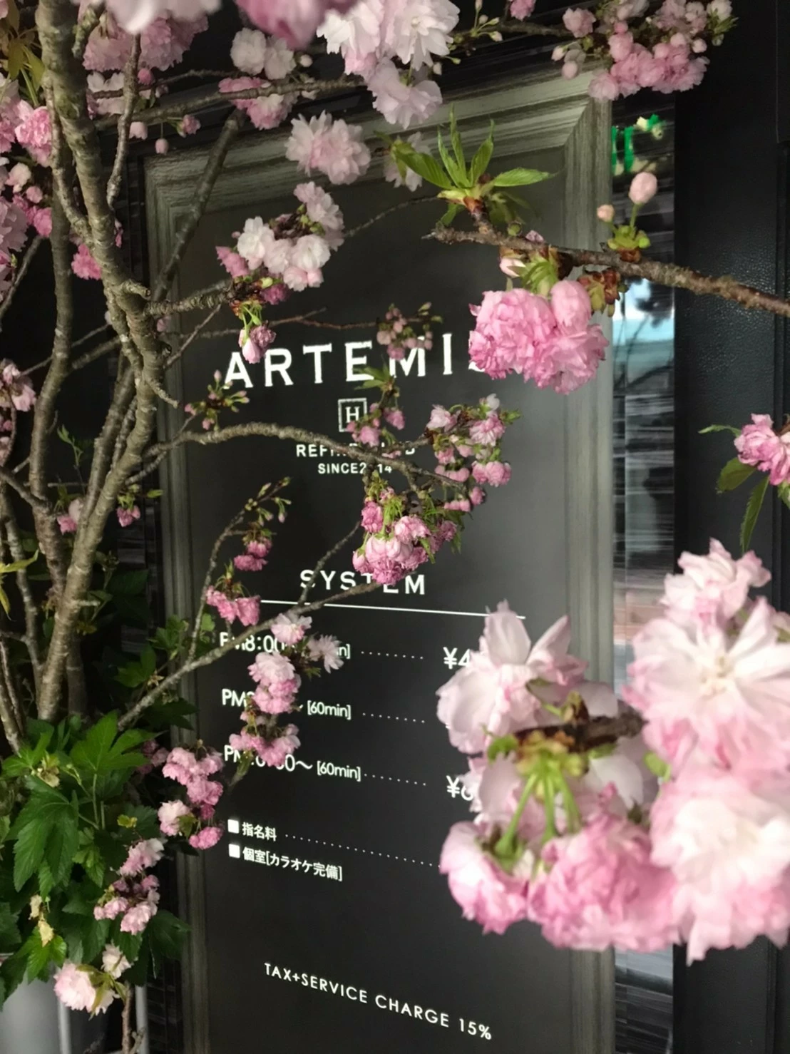 一条 葵