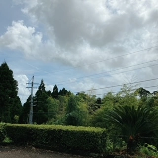 あい