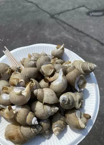 長瀬 純恋