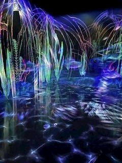成海 まお