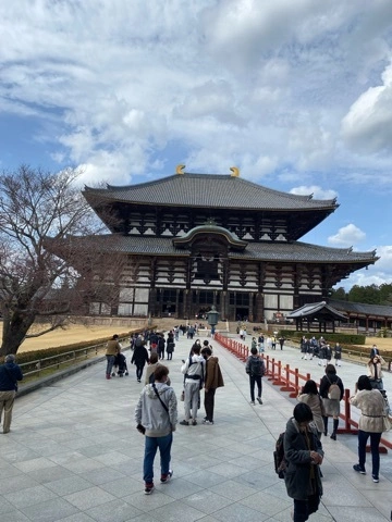 まみ