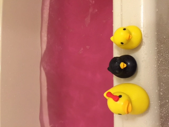 妃 えりか