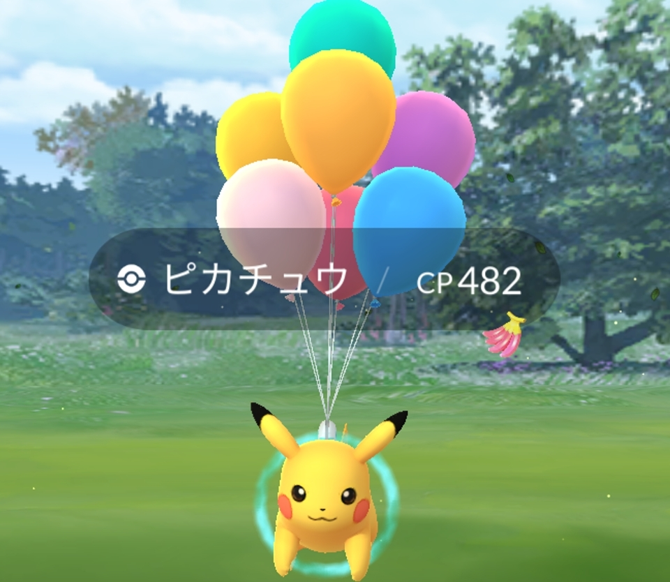 五条 椿