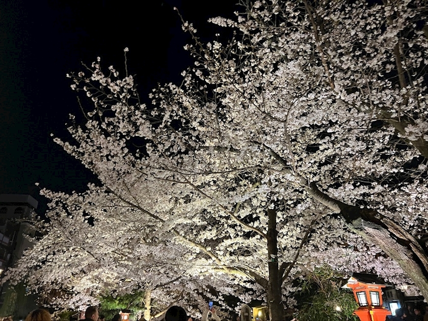 なつき