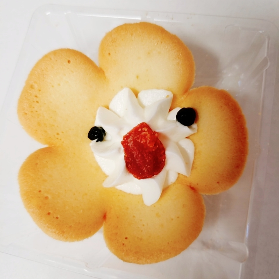 紫音