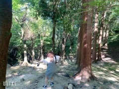 なぎさ