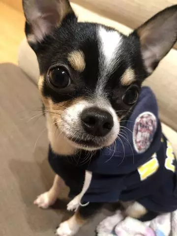 長瀬 純恋