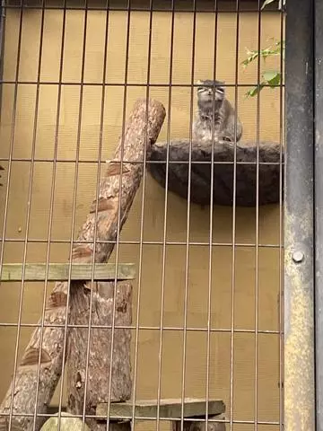 長瀬 純恋