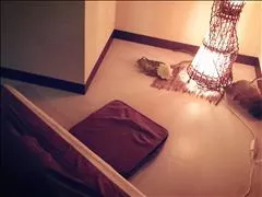 桃瀬 百華