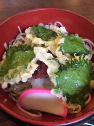 蓮見 リア