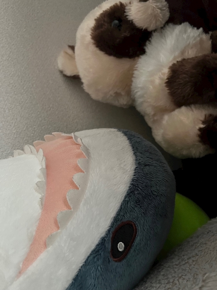 なぎ