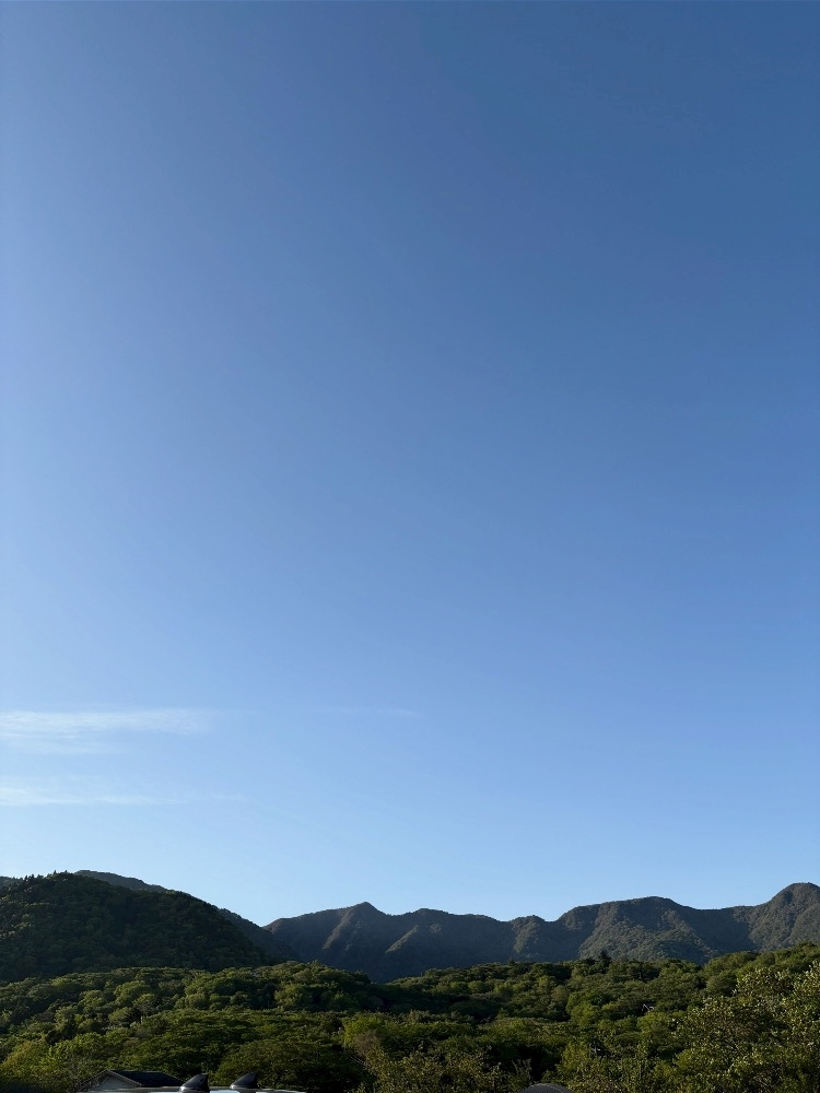 ミヅキ