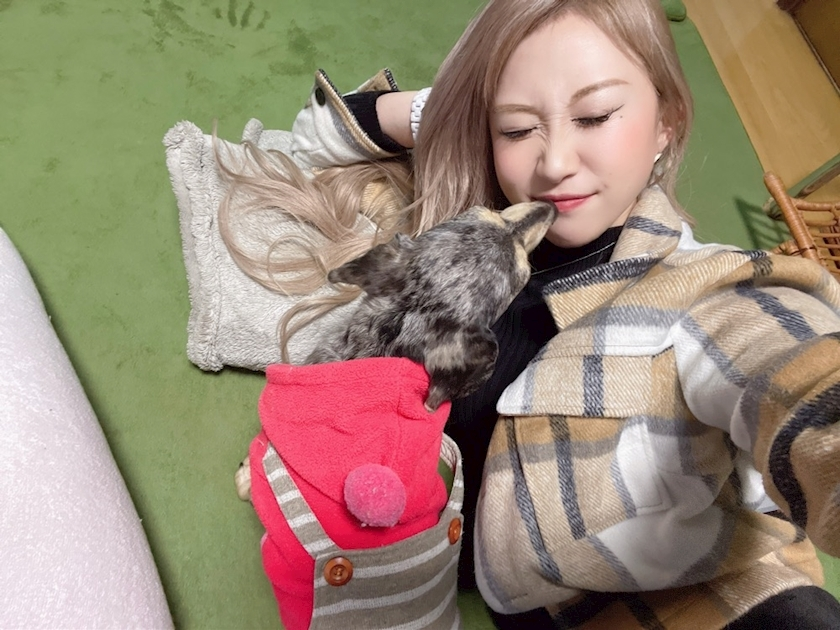 紗貴