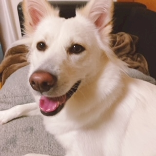 京 さゆみ