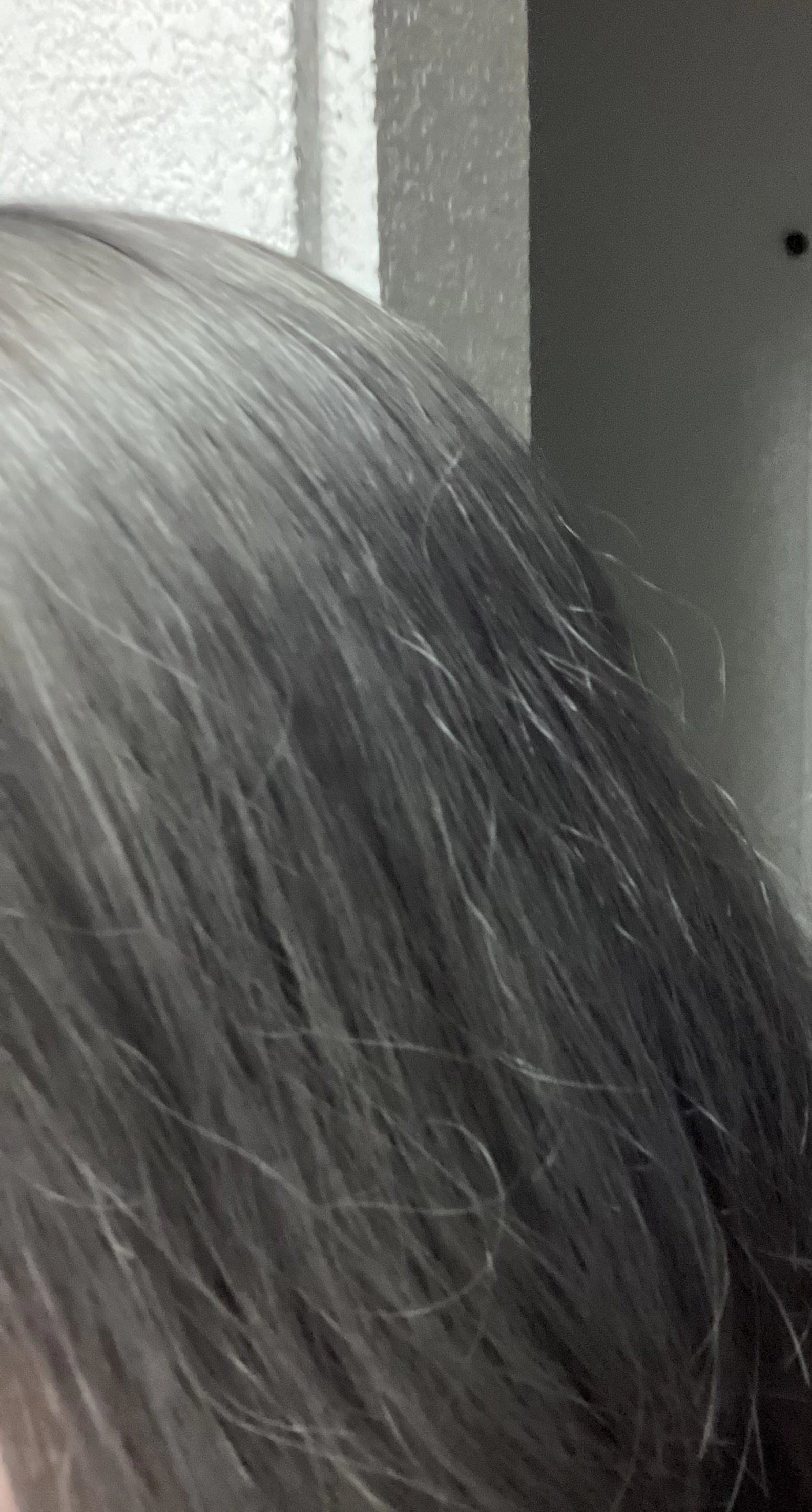 かずは